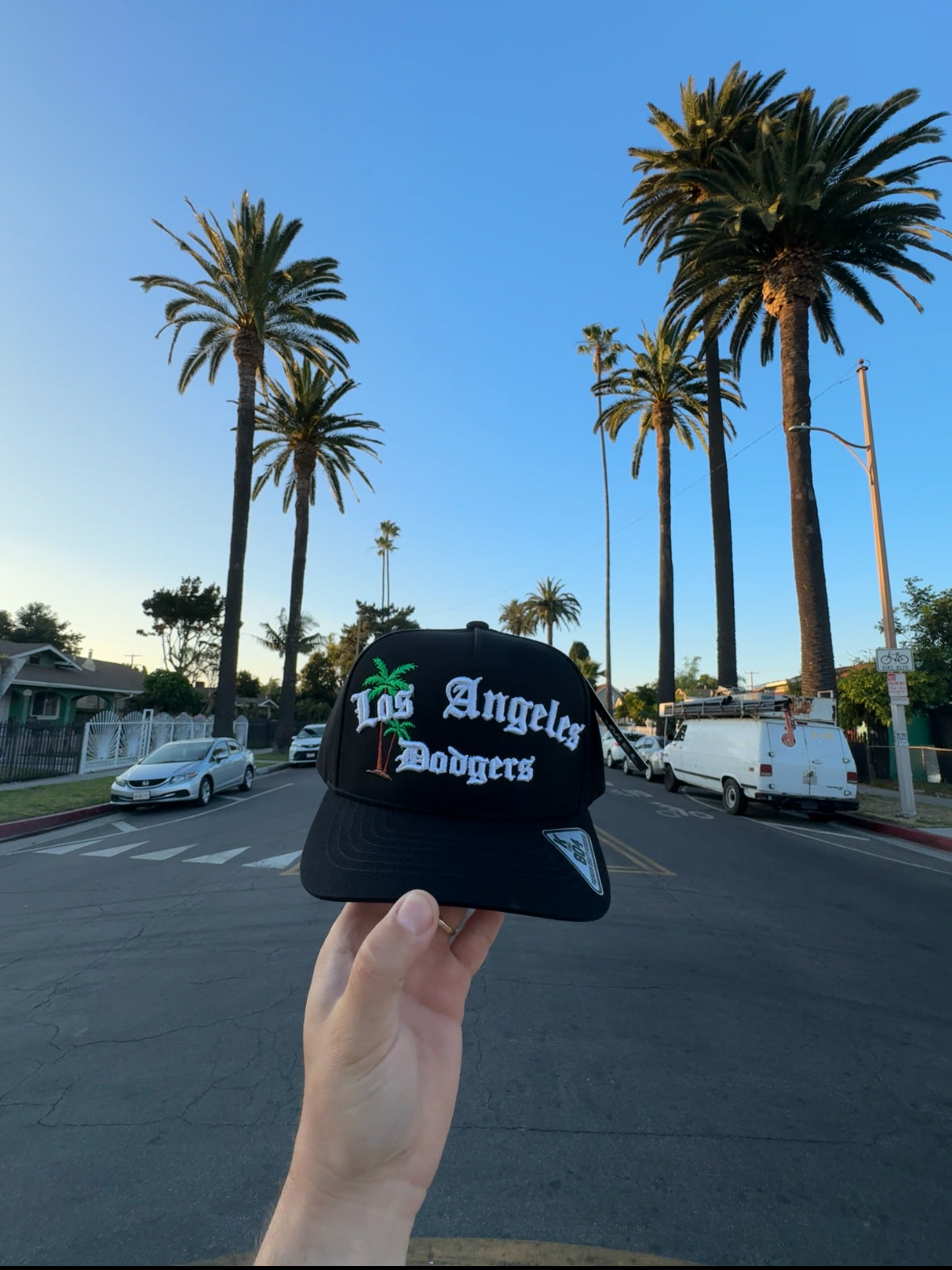 Los Angeles Dodgers Hat