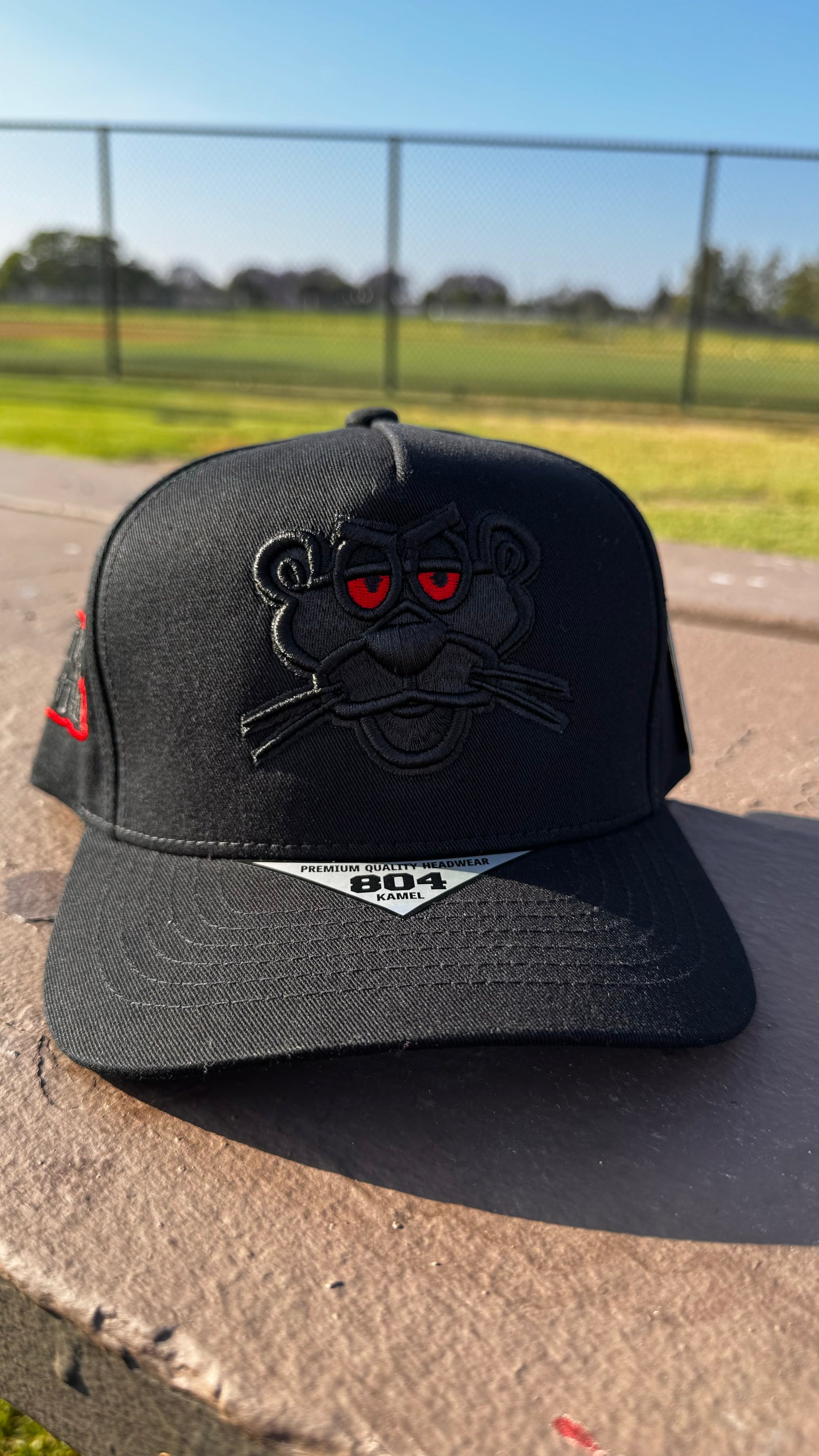 Pink Panther Hat